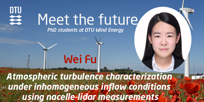 Meet the Future Wei Fu