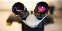 Microscope